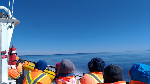 Saguenay Whale watching