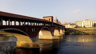 Pavia