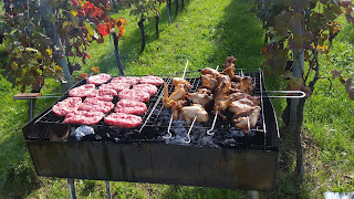 Angera barbecue in the vineyard