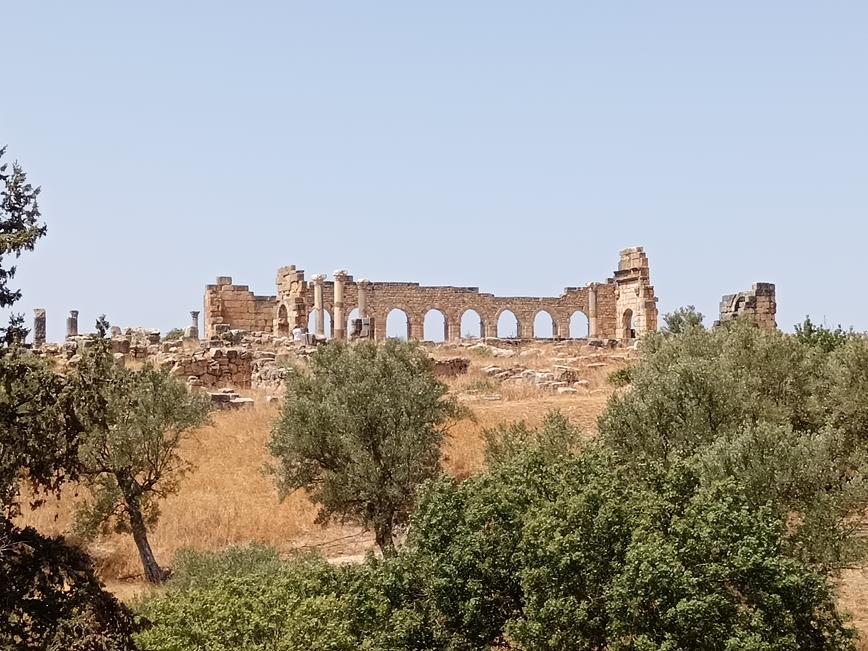 Volubilis