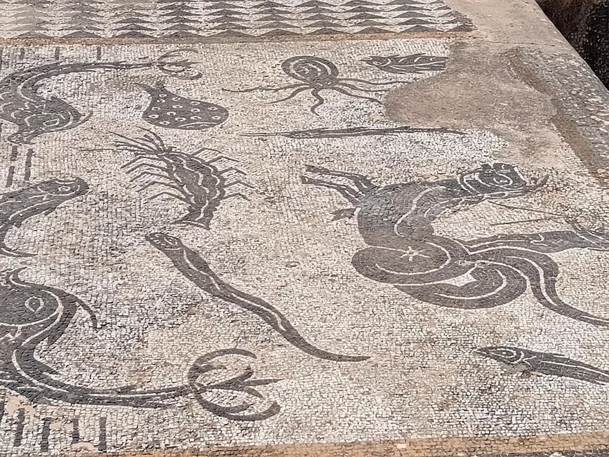 Volubilis Mosaics