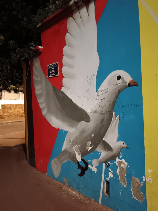 Rabat Street Art