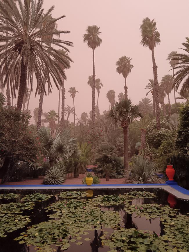 Giardini Majorelle Pink Sky