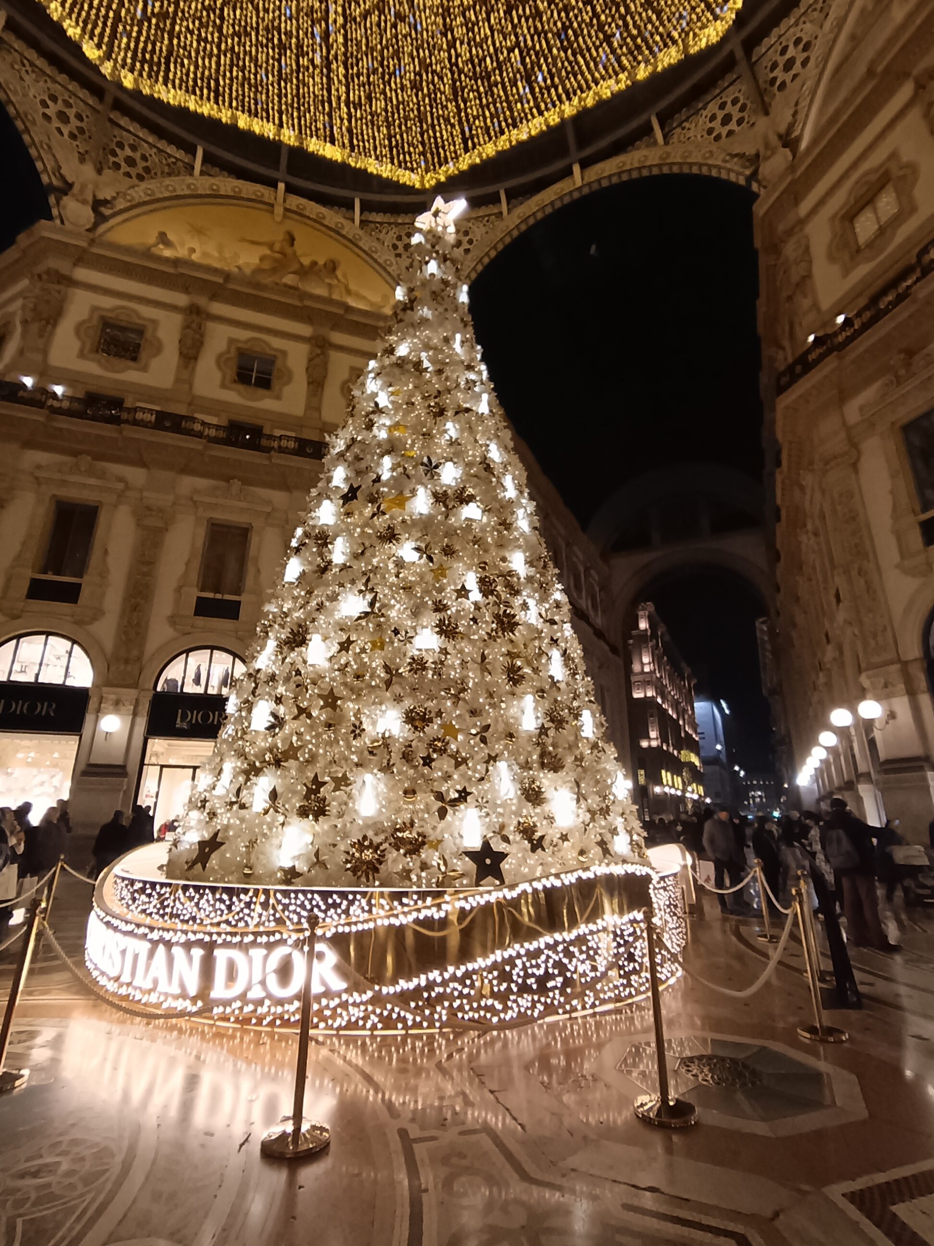 Christmas trees in Milan